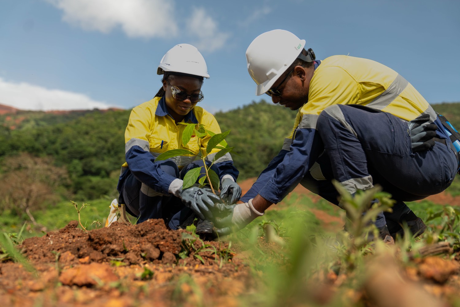 Two SimFer employees plant a tree seedling during World Environment Day
